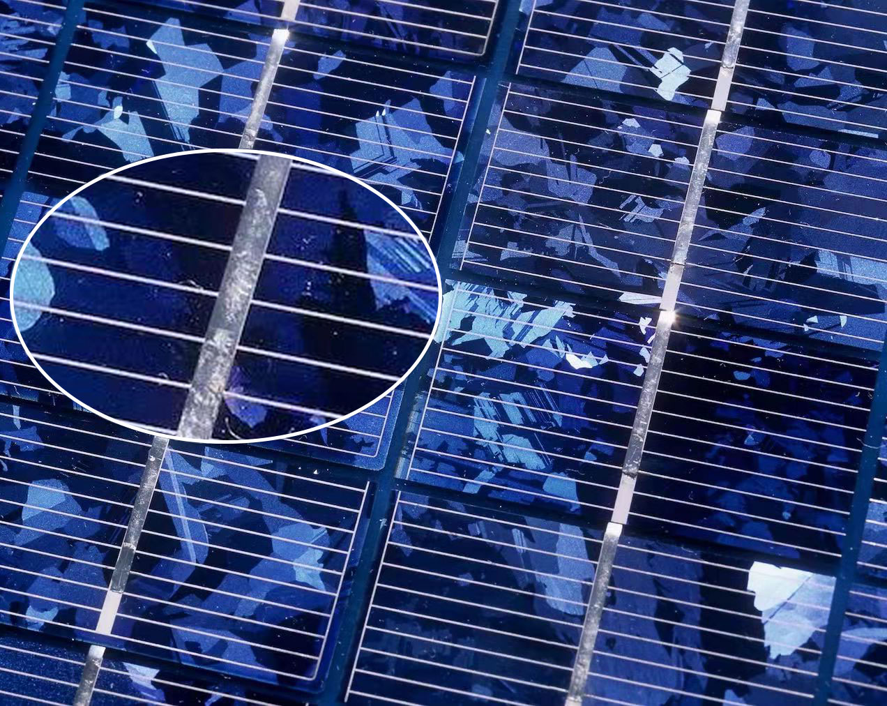 The impact of photovoltaic ribbon on modules