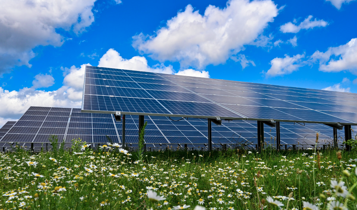 The Photovoltaic Industry in a Sluggish Market: How Should Companies Adjust Their Strategies?